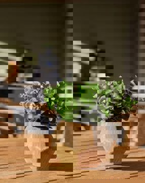 Testimonial block image (3).jpeg