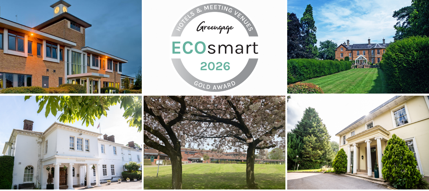 Ecosmart social post tvc (2).png